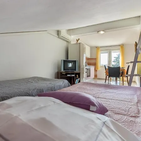 Amazing In With Kitchen Apartman *