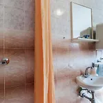 Amazing In With Kitchen شقة بولا